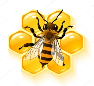 Бджоли: картинки, стокові Бджоли фотографії, зображення | Скачати з  Depositphotos